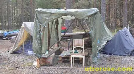 В Швеция подозират, че трафиканти вкарват българи за берачи на боровинки