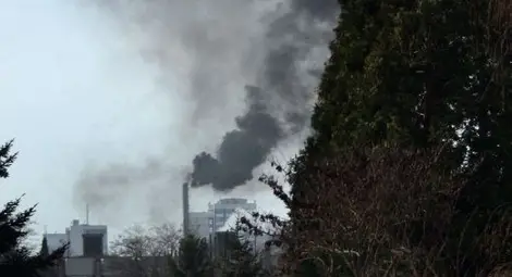 И Грийнпийс потвърди: Мръсният въздух в България докарва рак