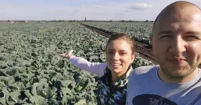 Фермери се отказват да отглеждат  зеленчуци - няма кой да ги бере