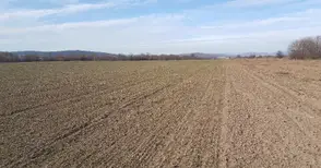 Измислиха нова схема за  кражба на „бели петна“