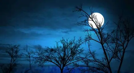 Нова теория - Луната се е откъснала от Земята 