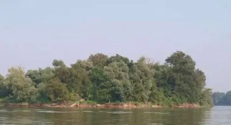 Румънски граничари тормозят наши рибари на дунавски остров