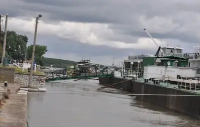 30 см делят Видин от наводнение