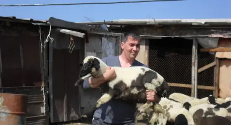 Животновъдите получиха в срок 15 милиона лева по de minimis