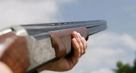 Бракониер плаща 1000 лева за застрелян благороден елен