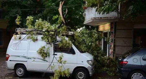 За час Русе се премести на тропика