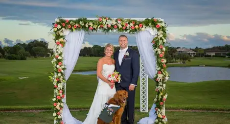 Куче засне сватбата на господарите си 