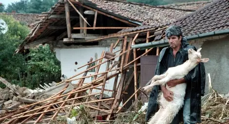 Приемат заявления за унищожени  от бедствия животни и кошери