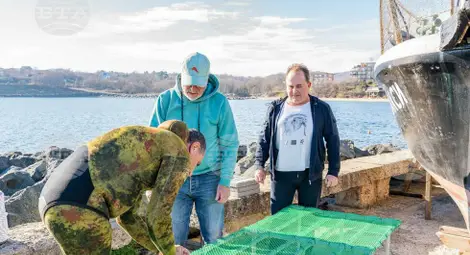 Снимка: БТА