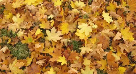 Новата седмица идва с ниски температури и дъжд