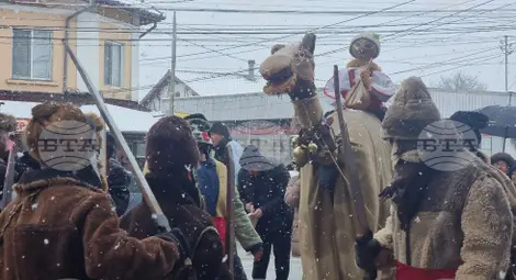 Снимка: БТА