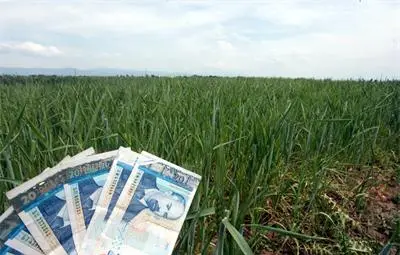 Данък земя ли!