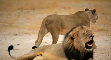 Шварценегер показа на убиеца на Сесил истински трофеи