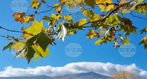 Снимка: БТА Снимка: БТА