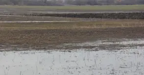 10 хиляди декара ниви под  вода в Бръшлен и Ряхово