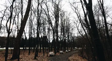 Пет деца нападнати и ухапани от домашно куче в София