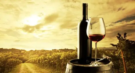 Чаша вино е равна на час във фитнеса. И още 11 причини защо да пием божествената напитка.