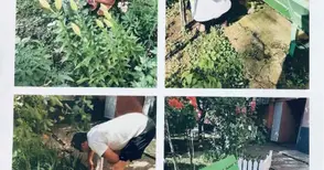 Общината ще отпуска до 600 лева на граждани за облагородяване на междублокови пространства