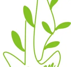 Лого без текст Лого без текст