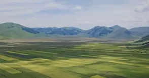 Фондове за земеделска земя носят  близо 200% доходност за три години