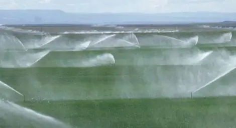 След 20 години башибозушки кражби България се сети за мащабен проект за напоителна система