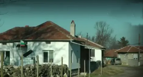 14 животни отглеждали в дома на откритата мъртва сред агресивни кучета жена от Ново село