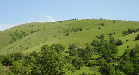 Земеделец с две обвинения заради старание да изпълни заповеди за двама министри Земеделец с две обвинения заради старание да изпълни заповеди за двама министри
