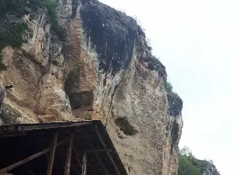 Кошовските братя