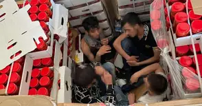 Румънец опитал да прекара група сирийци в камион за гълъби