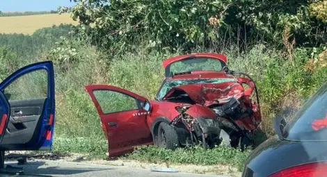 Снимка: Архив Снимка: Архив