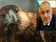 Кръщават царски орел на Бойко Борисов