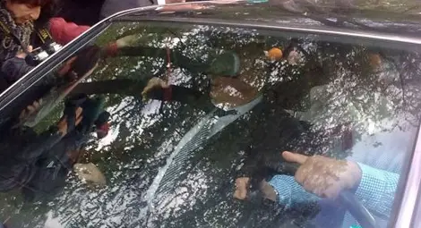 Катуница настръхна! Готви се за линч