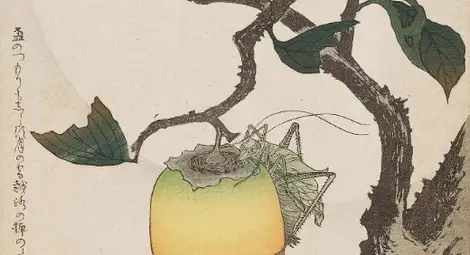 Японското изкуство суримоно разказва приказки за кимона, патладжани, бриз и поезия