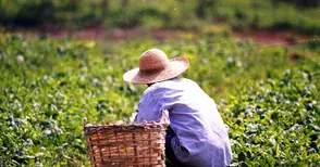 Земеделците се пререгистрират до края на февруари