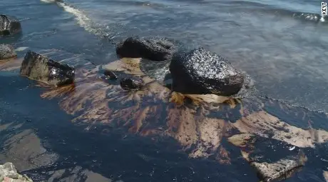 Екокатастрофа в Тихия океан, 80 000 тона нефт се изляха във водата