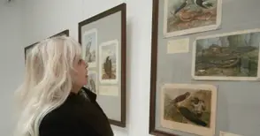 Над 80 прекрасни стогодишни акварела показват кукувици, чинки и косове