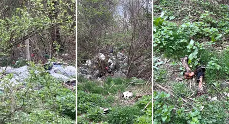 Ужасяващо сметище край село Коньово