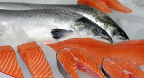 Експерт развенча масова заблуда: Прецакват ни и със сьомгата в магазина Експерт развенча масова заблуда: Прецакват ни и със сьомгата в магазина