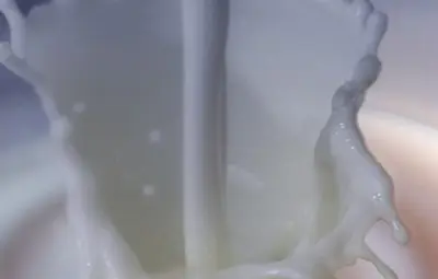 Измамен пастир отрови млякото на шефа си