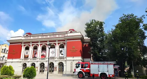 Русенка зове за помощ: Да спасим една птица!