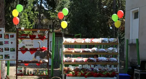 Празникът на ябълката посреща гости в село Екзарх Йосиф утре