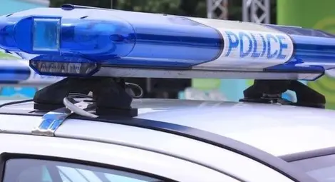 Нощна драма в Хотанца - три коли посечени с брадва след отказ на собственика да даде ракия Нощна драма в Хотанца - три коли посечени с брадва след отказ на собственика да даде ракия