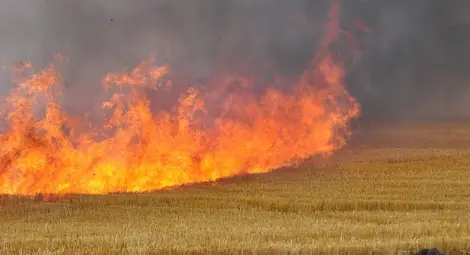 Румъния пак обеща да контролира паленето на стърнища - сега със сателит