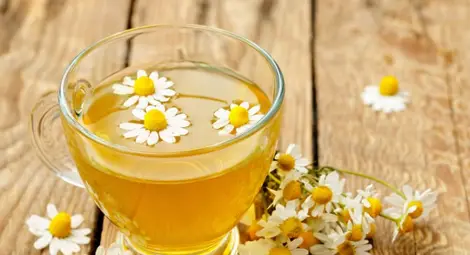 Чаят от лайка предпазва жените от ранна смърт