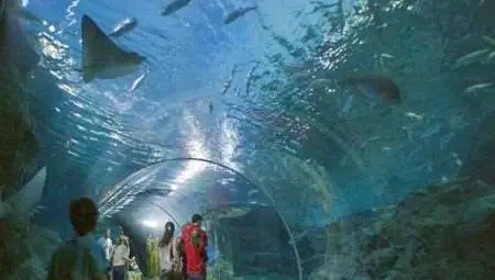 Океанариум за 100 млн. лв. строят в Бургас