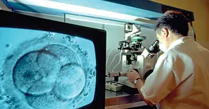 138 двойки подпомогнати за инвитро зачеване за 8 години