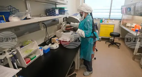 Снимка: БТА