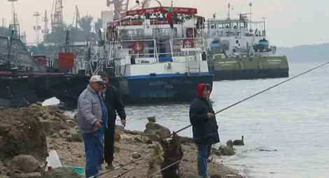 Уловът на риба в Дунав намалял с близо 20 на сто за година