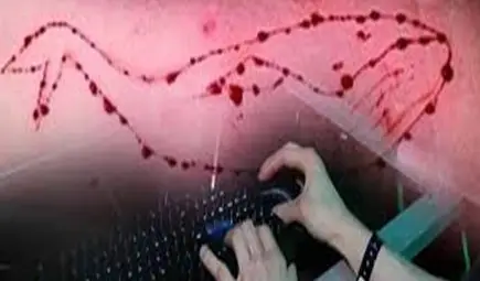 Разследват следата „Син кит“ в самоубийството на 17-годишно момче Разследват следата „Син кит“ в самоубийството на 17-годишно момче