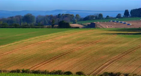 С над 19% се покачват цените  на земята и рентите в Русенско